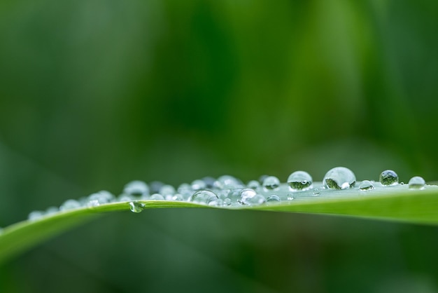close-up of raindrops on leaf