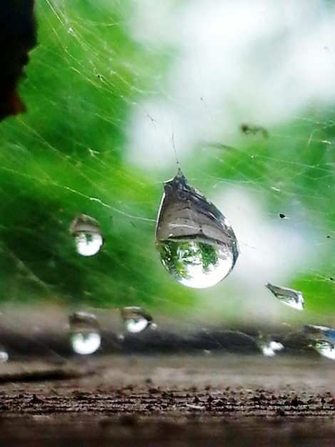 Foto un primo piano delle gocce di pioggia sulla rete di ragno