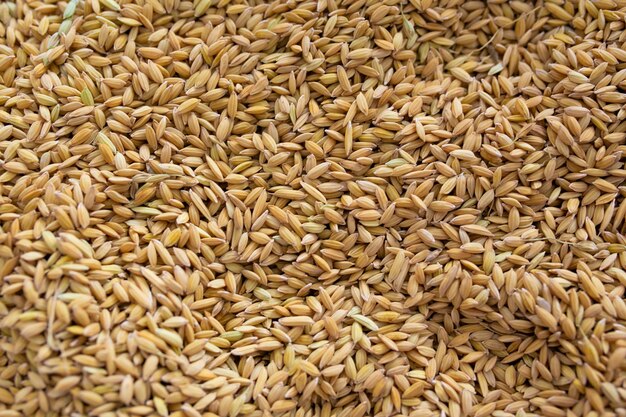 Крупный план сырых зерен коричневого риса Пищевой фон или текстура