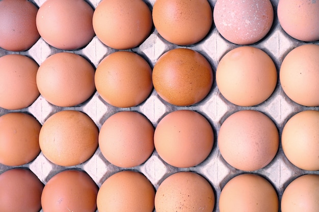계란 상자에 생 닭 계란을 닫습니다