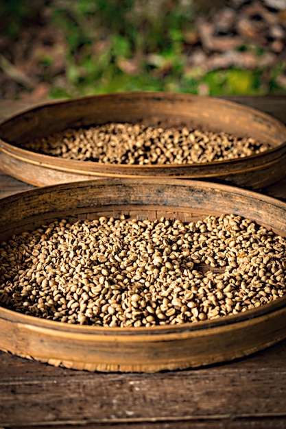 Close up of raw coffee beans, Bali, Indonesia