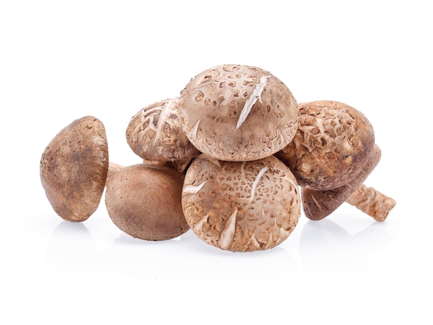 Photo close-up of raw mushrooms against white background