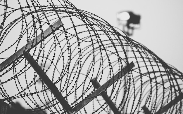 Photo close-up of razor barbed wire