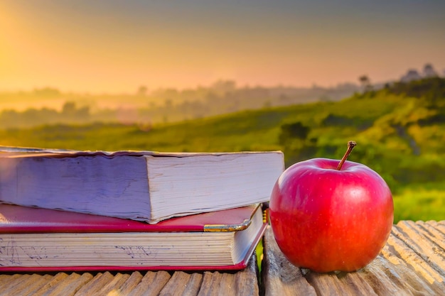 Close-up of red apple on table