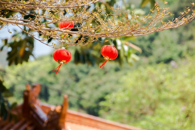 Foto close-up di bacche rosse sull'albero