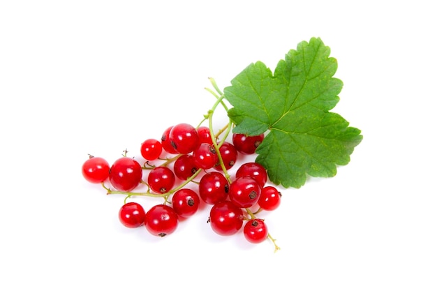 Photo close-up of red berries over white background