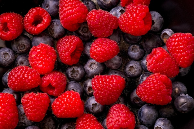 Close-up of red and black berries