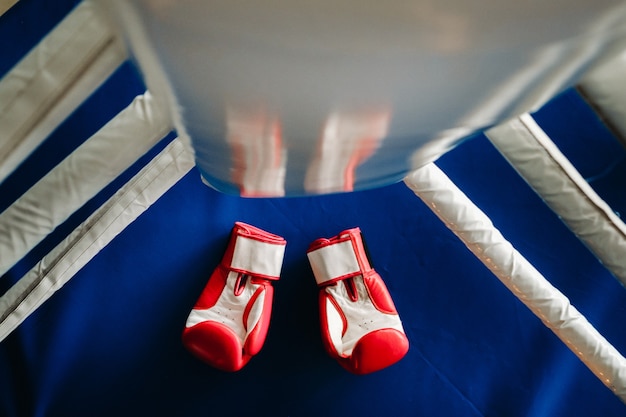 Photo close-up of red boxing gloves on the floor of a blue boxing ring