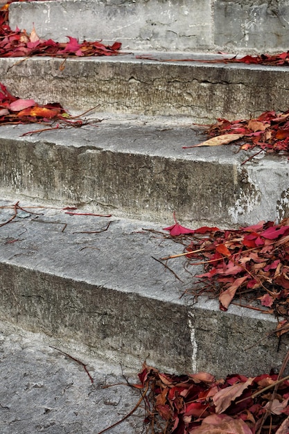 Foto close-up di una struttura costruita in rosso