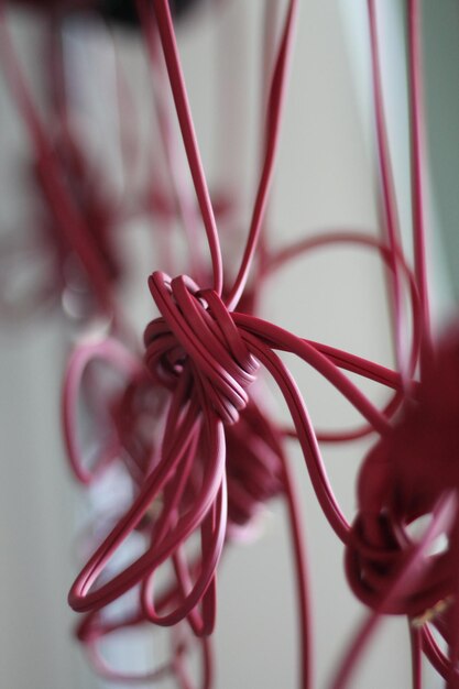 Photo close-up of red cables