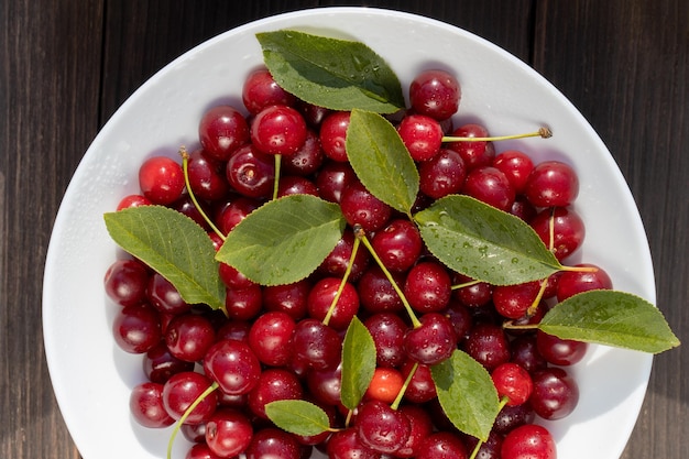 Close up of red cherries on white plate