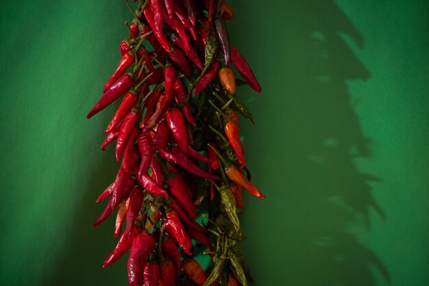 Close-up of red chili peppers on leaf