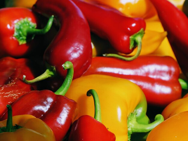 Photo close-up of red chili peppers