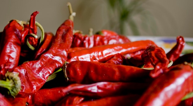 Close-up of red chilies in plate