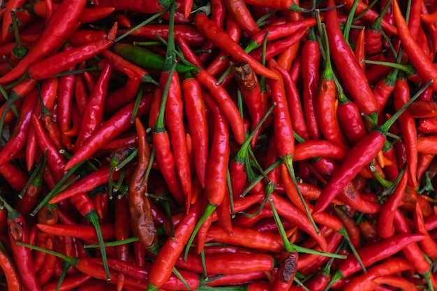 Foto chiuda sul peperoncino rosso nel mercato