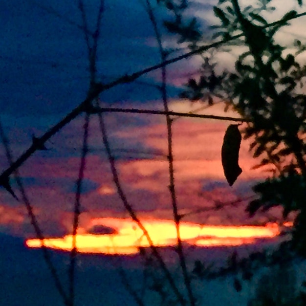 Photo close-up of red clouds at sunset