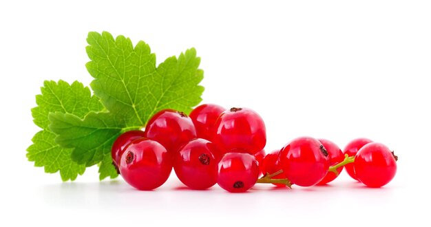 close up of red currants on white