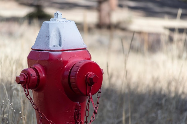 Foto close up di un idrante rosso sullo sfondo sfocato