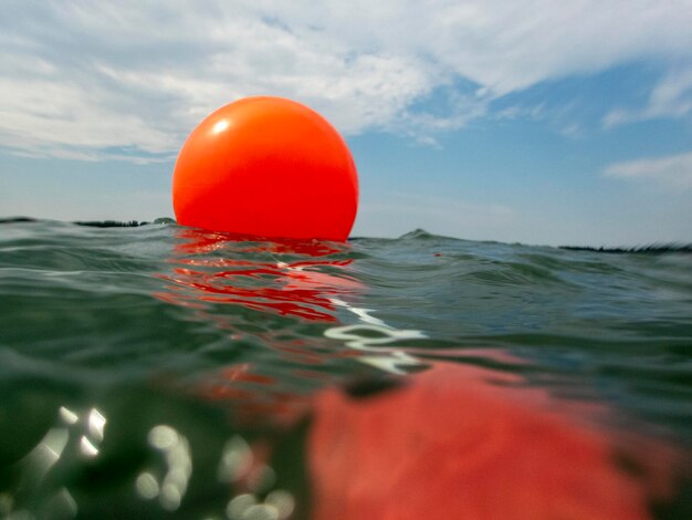 Foto close-up del rosso che galleggia sull'acqua