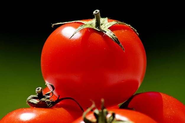 Foto close-up di un fiore rosso su uno sfondo nero