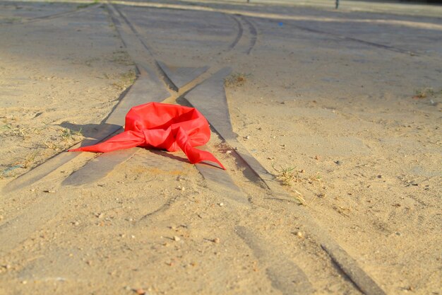 Foto close-up di un fiore rosso sulla sabbia