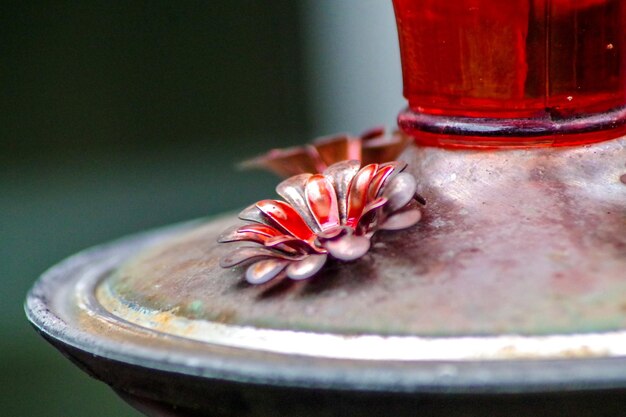 Foto close-up di un fiore rosso