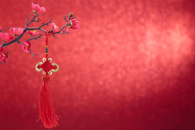 Close-up of red flowering plant against wall