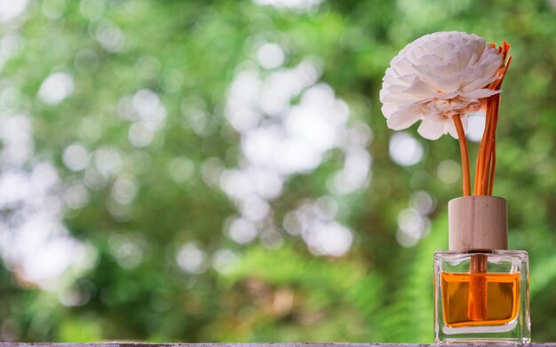 Foto prossimo piano di una pianta a fiori rossi