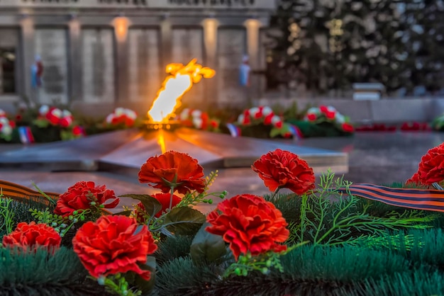 Photo close-up of red flowering plants against blurred background