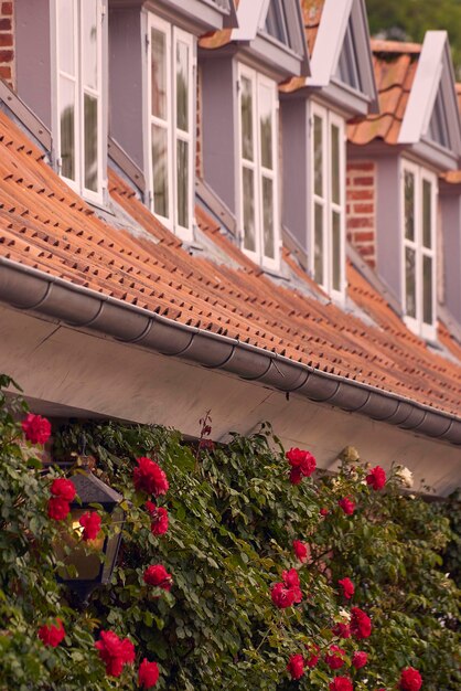 Foto close-up di piante a fiori rossi per edificio