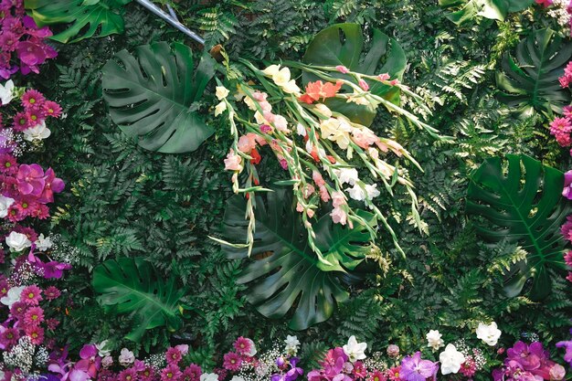 Close-up of red flowering plants