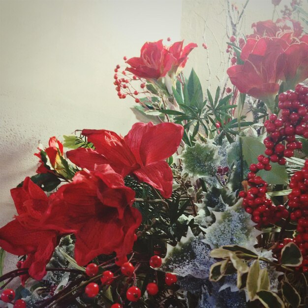 Photo close-up of red flowers blooming indoors