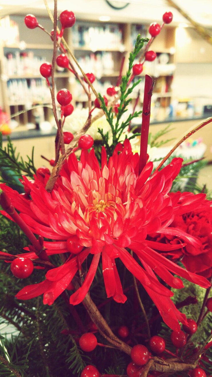Photo close-up of red flowers