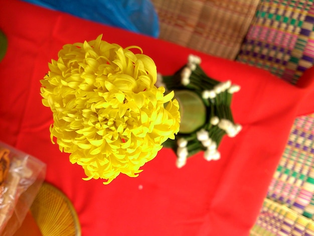 Photo close-up of red flowers