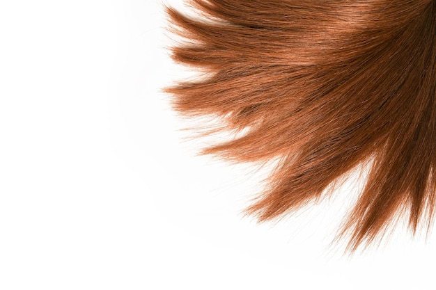 A close up of a red hair