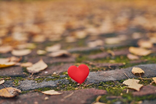 Photo close-up of red heart shape on field