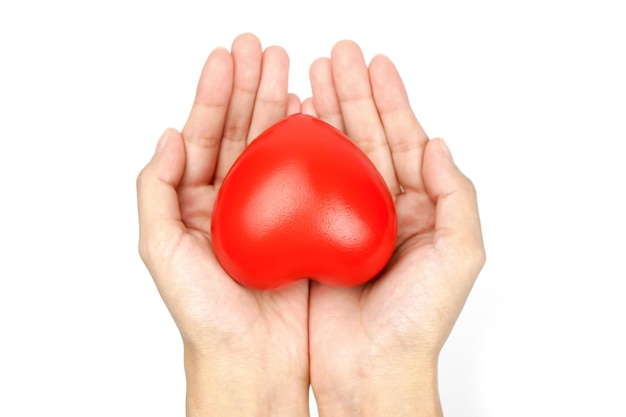 Primo piano di cuore rosso nelle mani delle donne isolato su uno sfondo bianco concetto di salute di carità