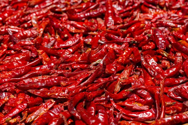 Close up on red hot chili peppers drying on sun