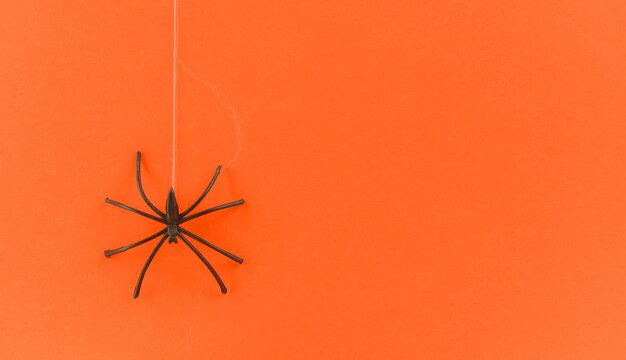 Foto close-up di una foglia rossa contro una parete arancione