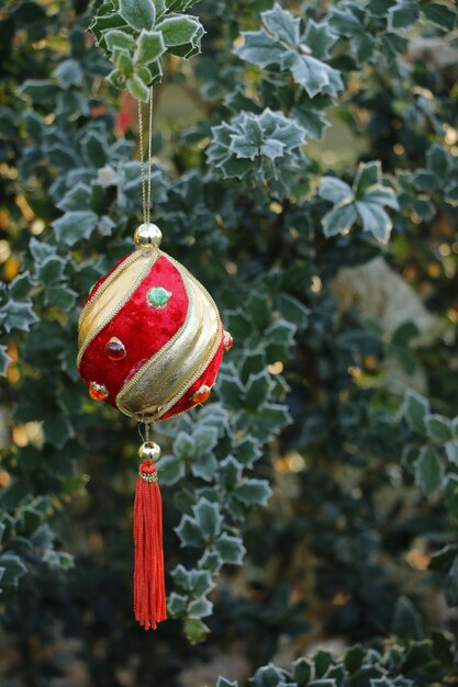 Close-up of red leaf hanging on tree