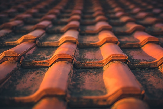 Close-up of red moldy old roof tile. Selective focus 