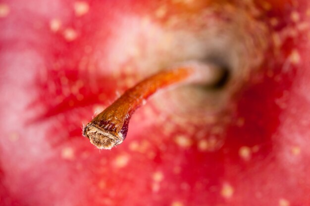 Крупный план красного спелого яблока. Сосредоточьтесь на стебле