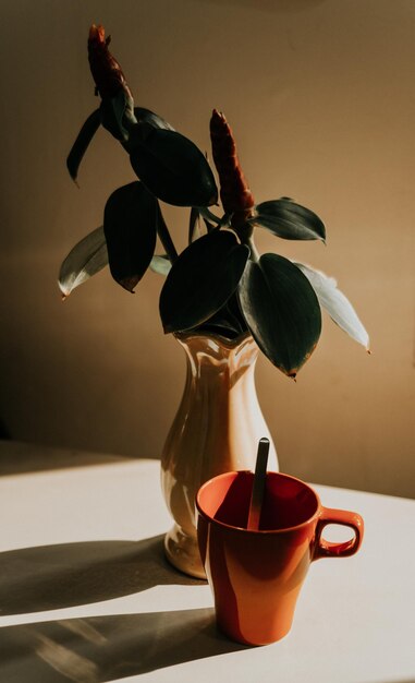 Photo close-up of red rose flower vase on table