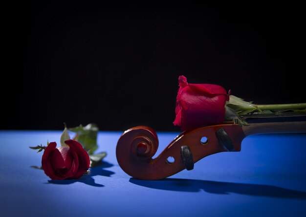 Foto close-up di una rosa rossa su un tavolo sullo sfondo nero