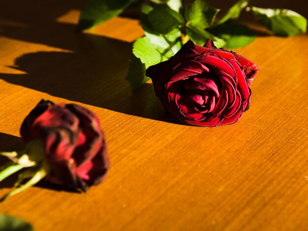 Close-up of red rose on table