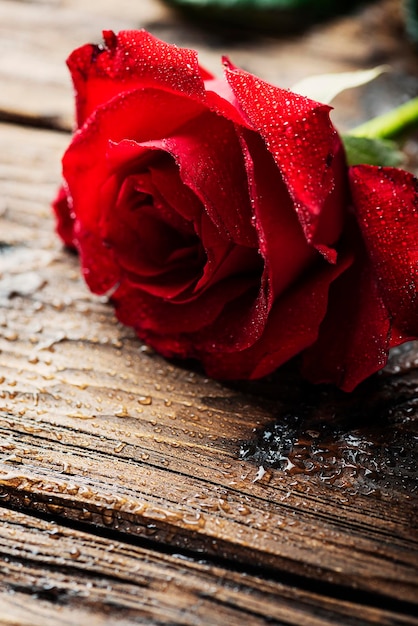 テーブルの上の赤いバラのクローズアップ