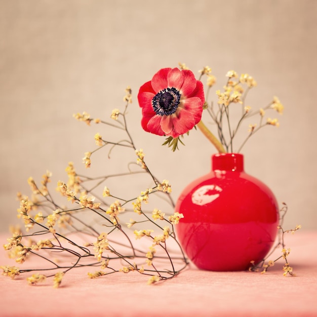 close-up of red rose in vase