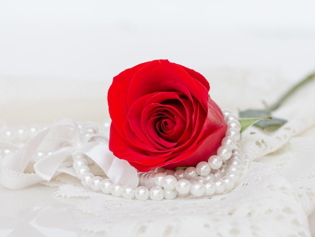 Close up of red rose on white lace and pearls dedorated around