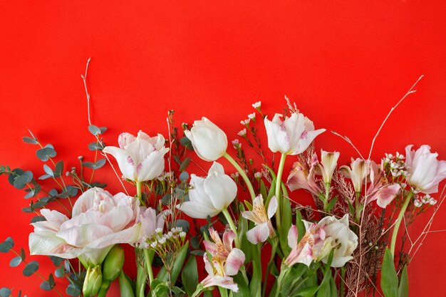 Close-up of red roses against white background