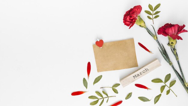 Photo close-up of red roses against white background